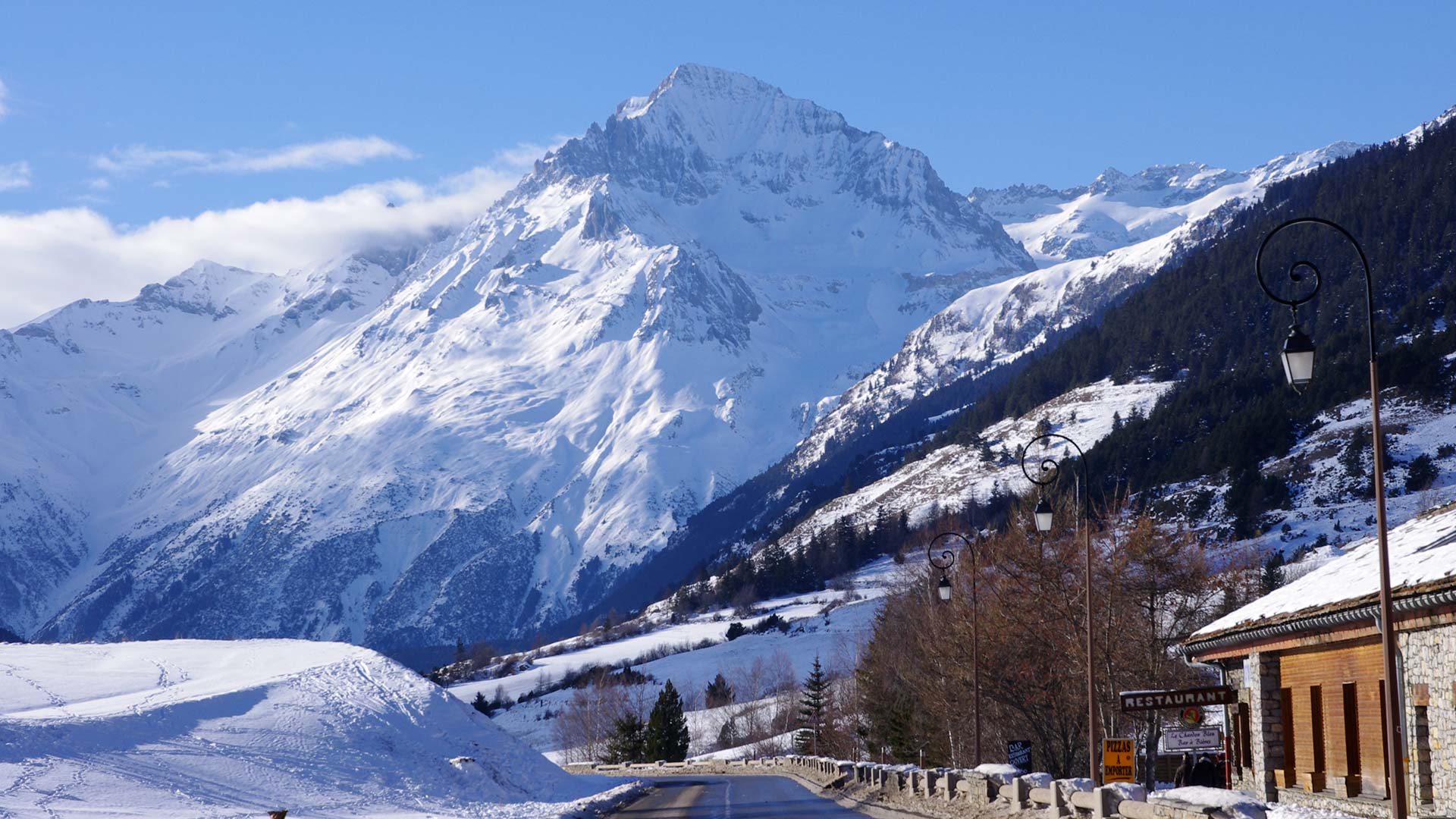 dent-parrachee-en-hiver